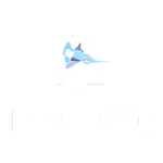 DanceWize NSW